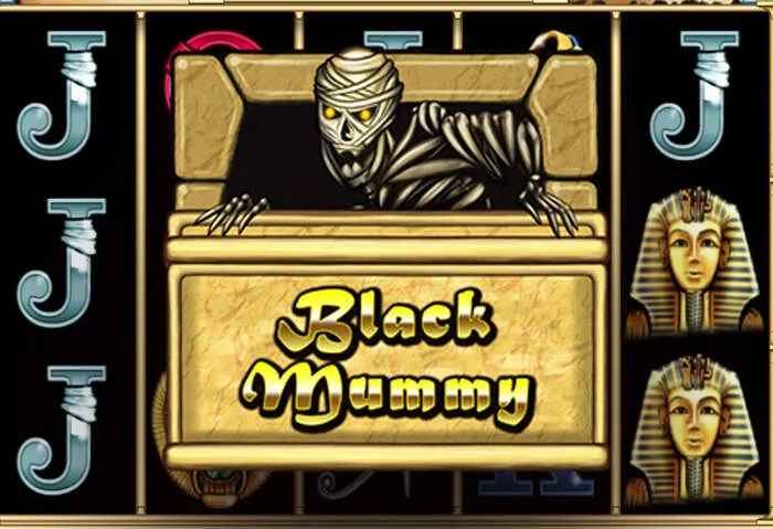 Diverse online casino payment methods for secure deposits and fast withdrawals.